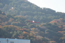 IMG_9845al.jpg