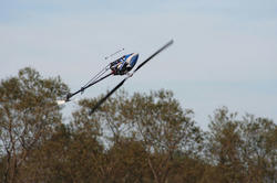 IMG_9805ah.jpg