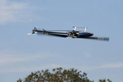 IMG_9787ad.jpg