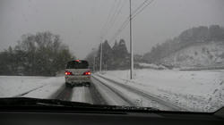 SANY0031ab.jpg