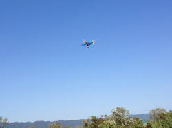 IMG_1975.jpg