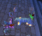 1109fff3.jpg