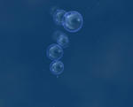 cb67994a.jpg
