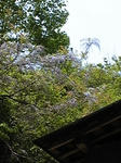 DVC00003.JPG