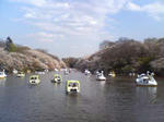070405_1459~01.jpg