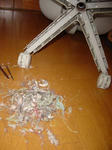 DSC00027.JPG