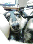 060617_2052~02.jpg