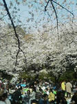 060401_1349~01.jpg