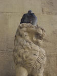 DSC00393.JPG