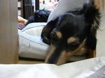 RIMG0803.JPG