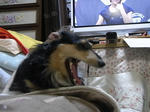 RIMG0847.JPG