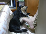 RIMG0865.JPG