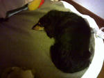 PICT0140.JPG