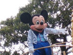 17.JPG