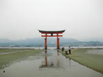 IMG_2806-2.jpg