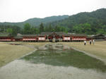 IMG_2808-2.jpg