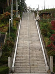 PB010245.JPG