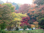 PB010271.JPG