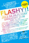 120406_FLASHY.jpg