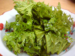 わさび菜のサラダ