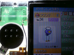 ポケルスに感染したフワンテ DSがスケルトンでカッコイイ~