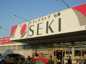 img1104_file.jpg