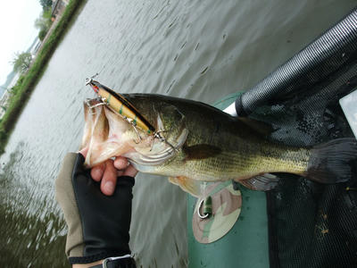 DSCF3284.JPG