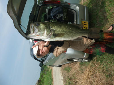 DSCF3379.JPG