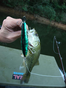 DSCF3403.JPG