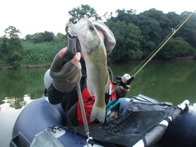 DSCF3414.JPG