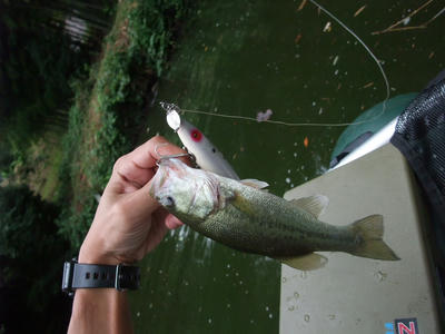 DSCF3440.JPG