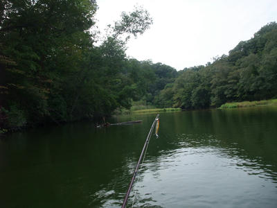 DSCF3493.JPG
