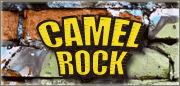 デザインTシャツCAMELROCK