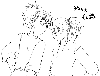 090214ttyst.gif
