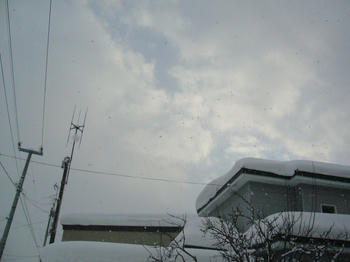 雪景色