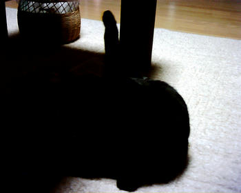 VQ1005-1