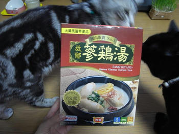 参鶏湯