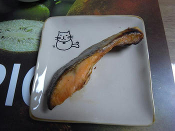 猫皿