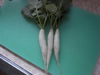 大根