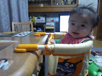 初めてのイスだー