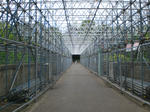 CIMG6291.JPG