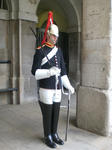 CIMG7466.JPG