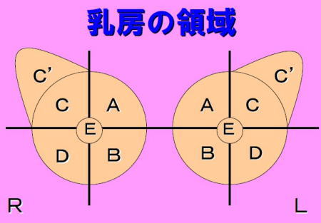 ポジショニング