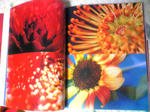 Image497.jpg