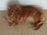2008071109440001.JPG