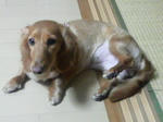 2008071123030000.JPG