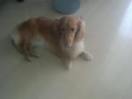 2008100415460000.JPG