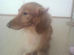 2008100415470000.JPG