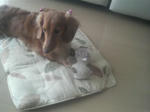 2008100512230000.JPG