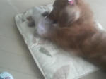 2008100512240000.JPG